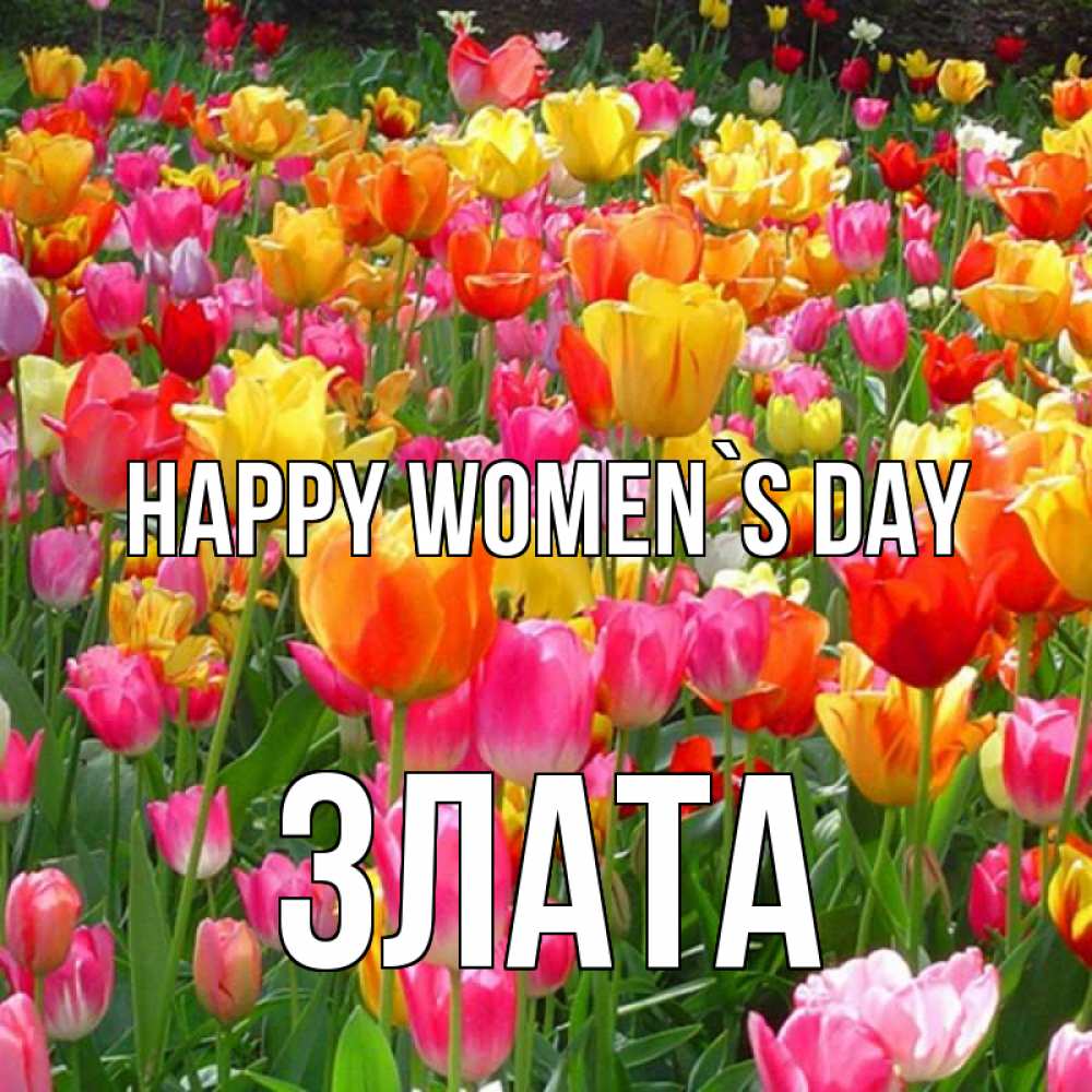 Greetings card с именем, Злата happy women`s day на международный женский день Greetings with text for free download 